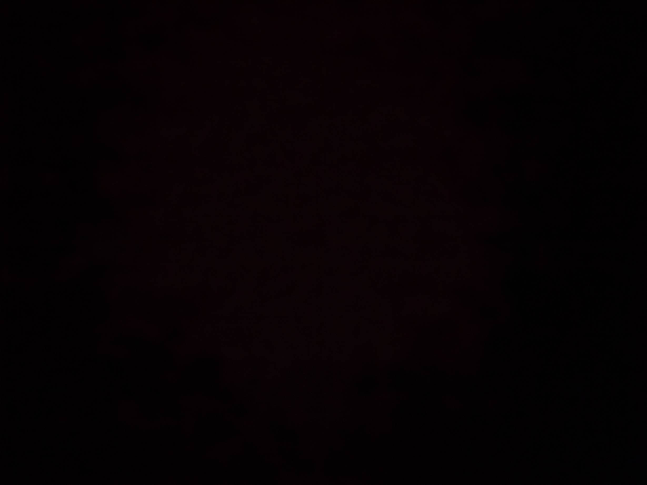 Profile photo of Simone