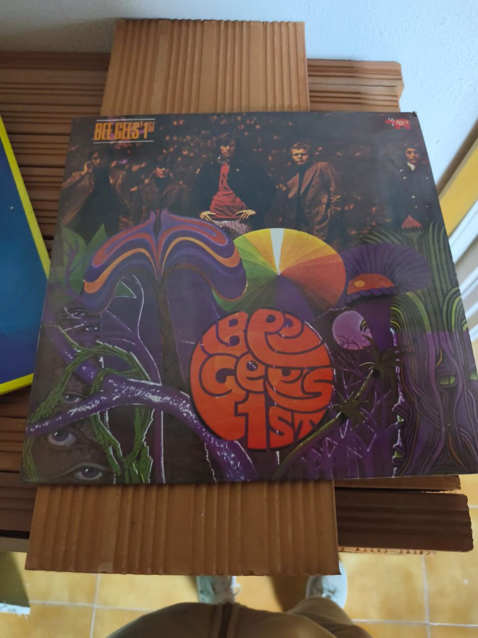 Profilfoto von María