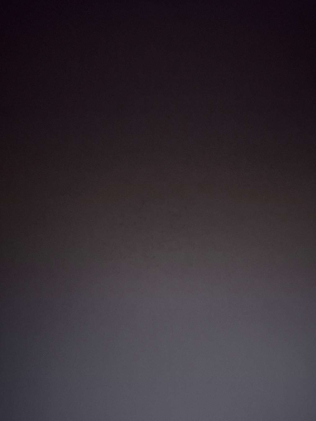 Profile photo of Alessandro