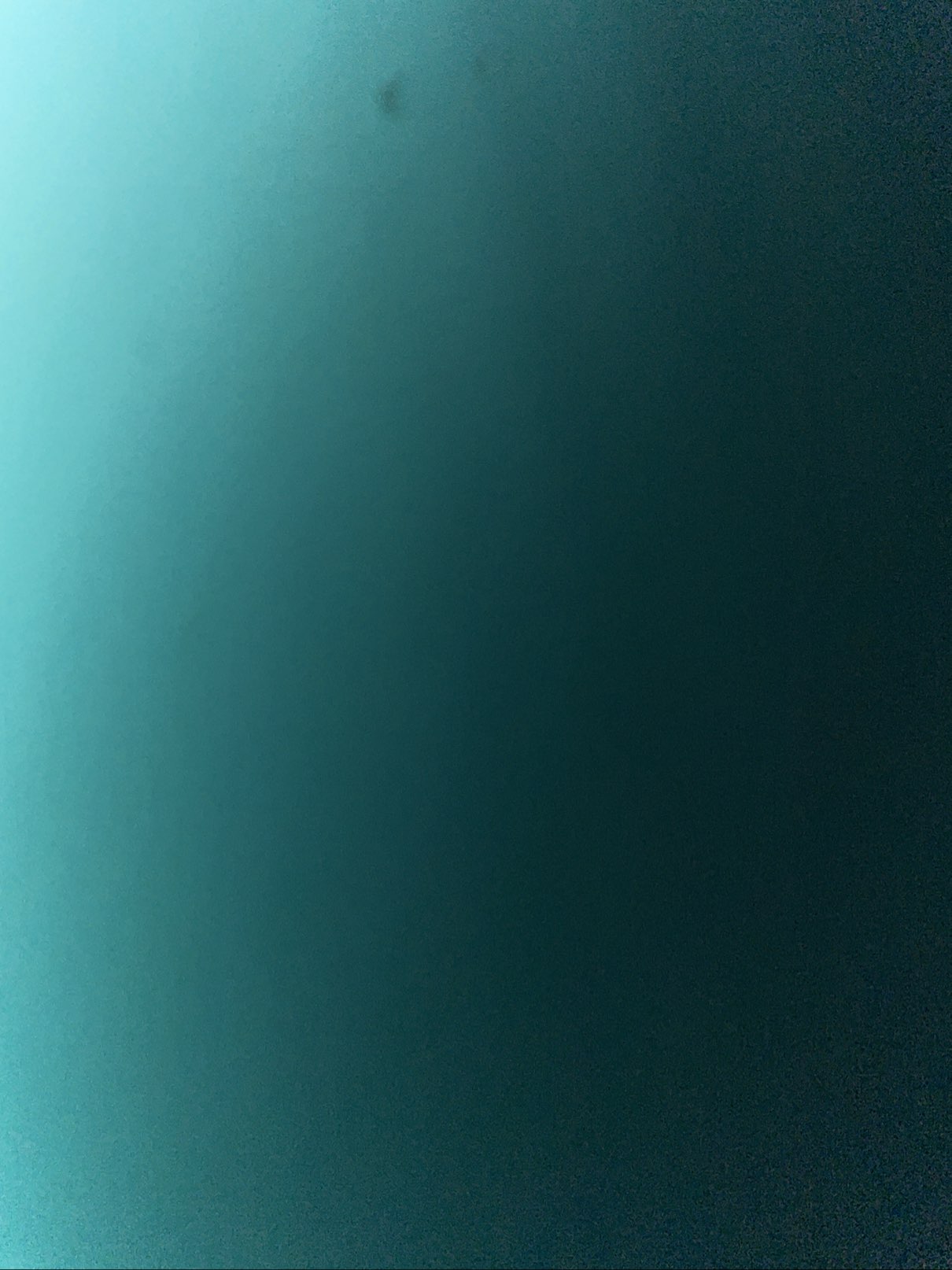 Profile photo of Giuseppe