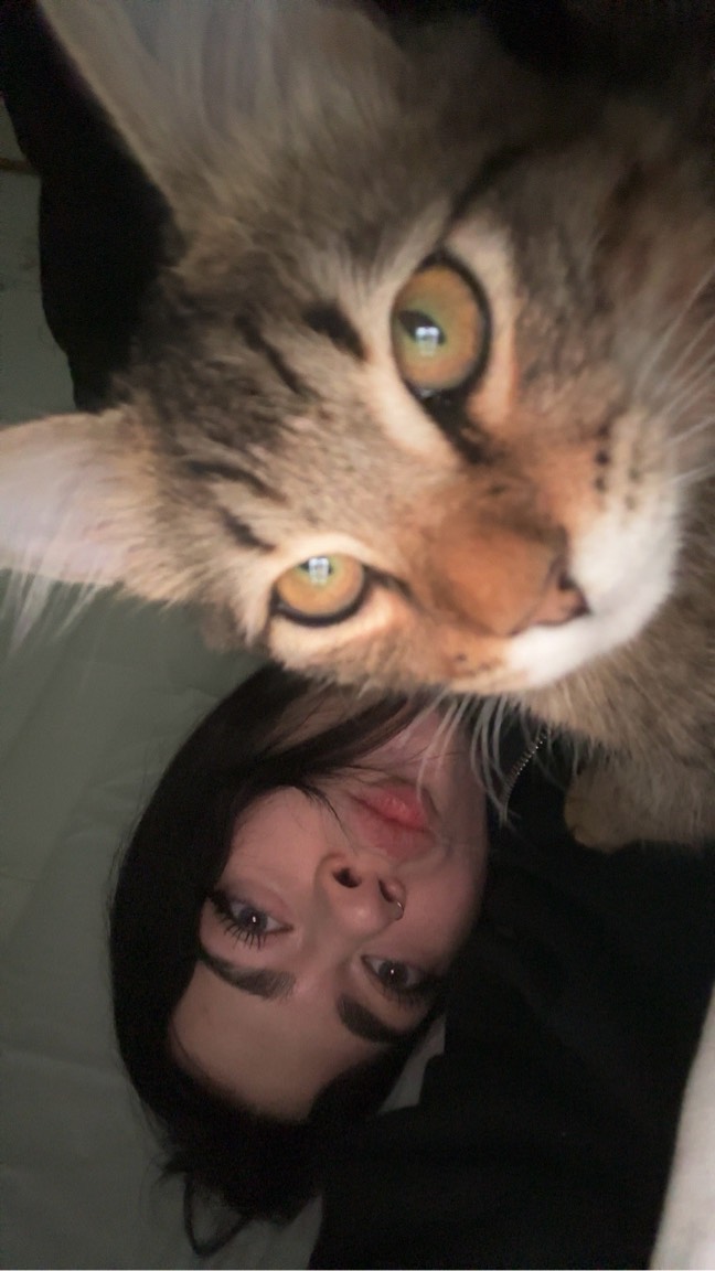 Foto de perfil de Serena