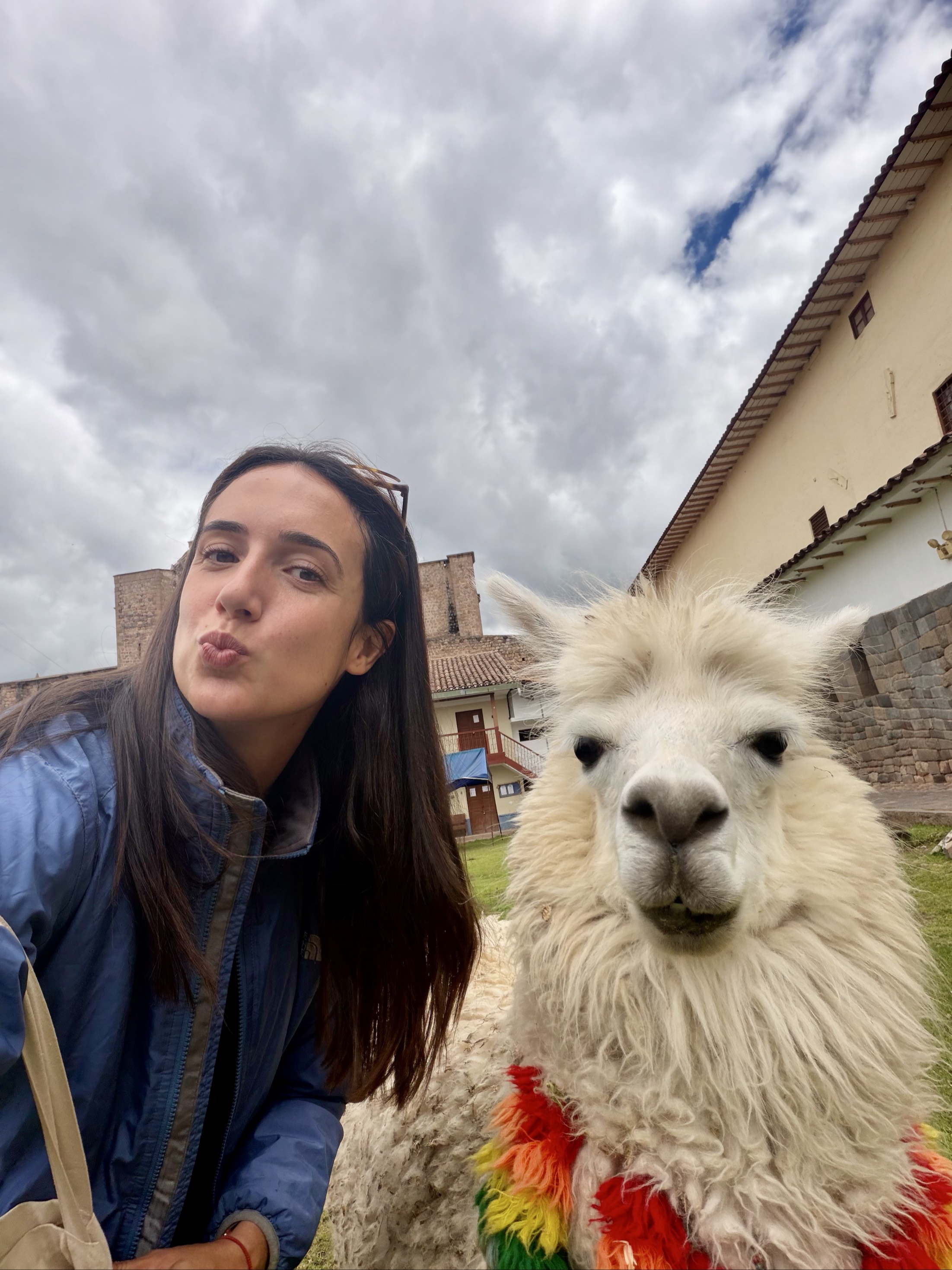 Foto de perfil de Francina