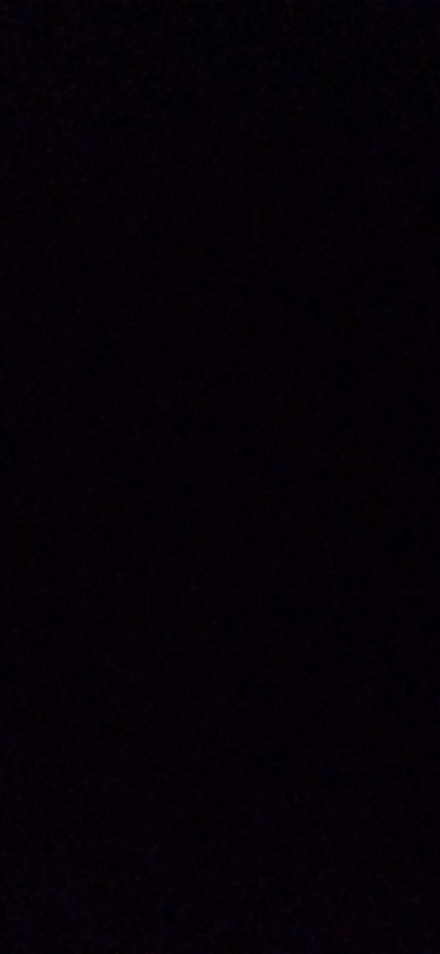 Profile photo of Francesca 