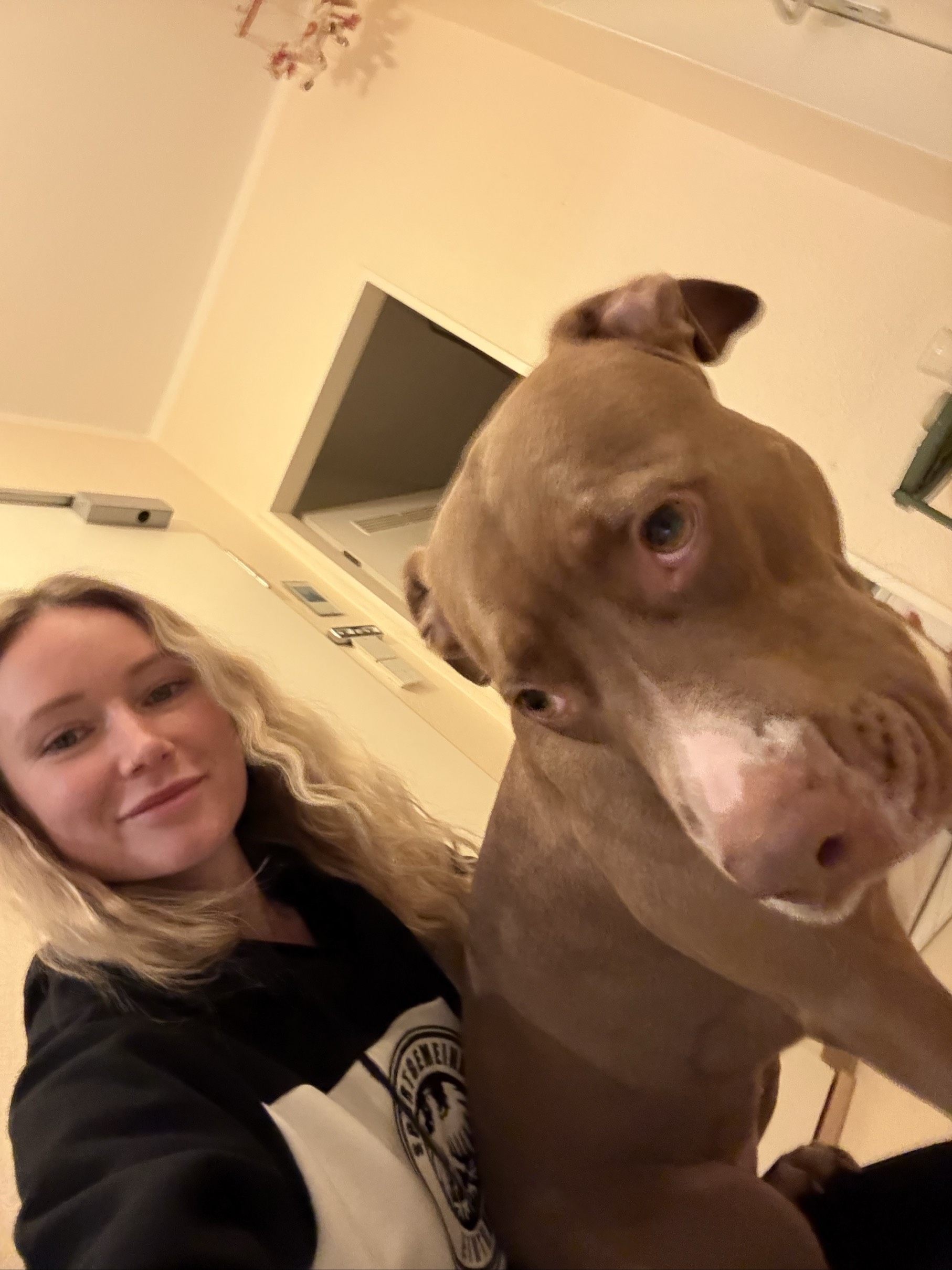 Foto della stanza a Frankfurt am Main