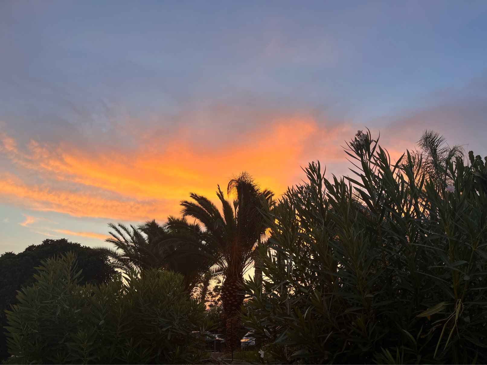 Profile photo of Giulia