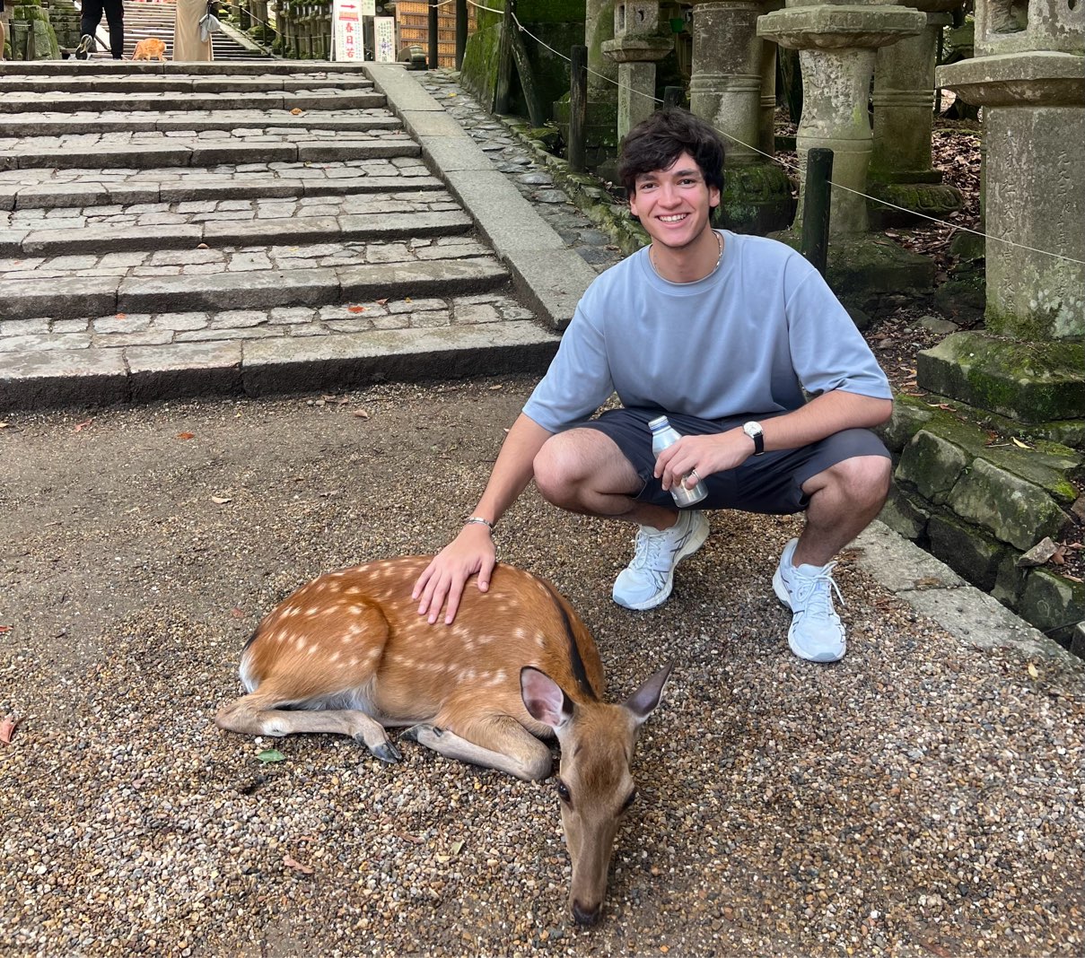 Photo de profil de Rodrigo