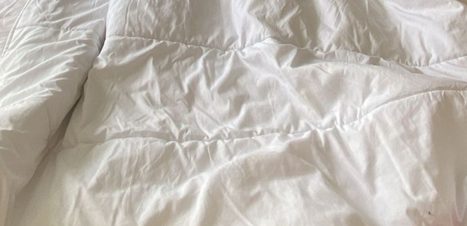 Foto profilo di Jose