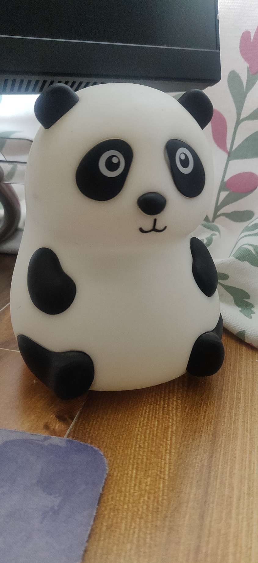 Foto profilo di Miami