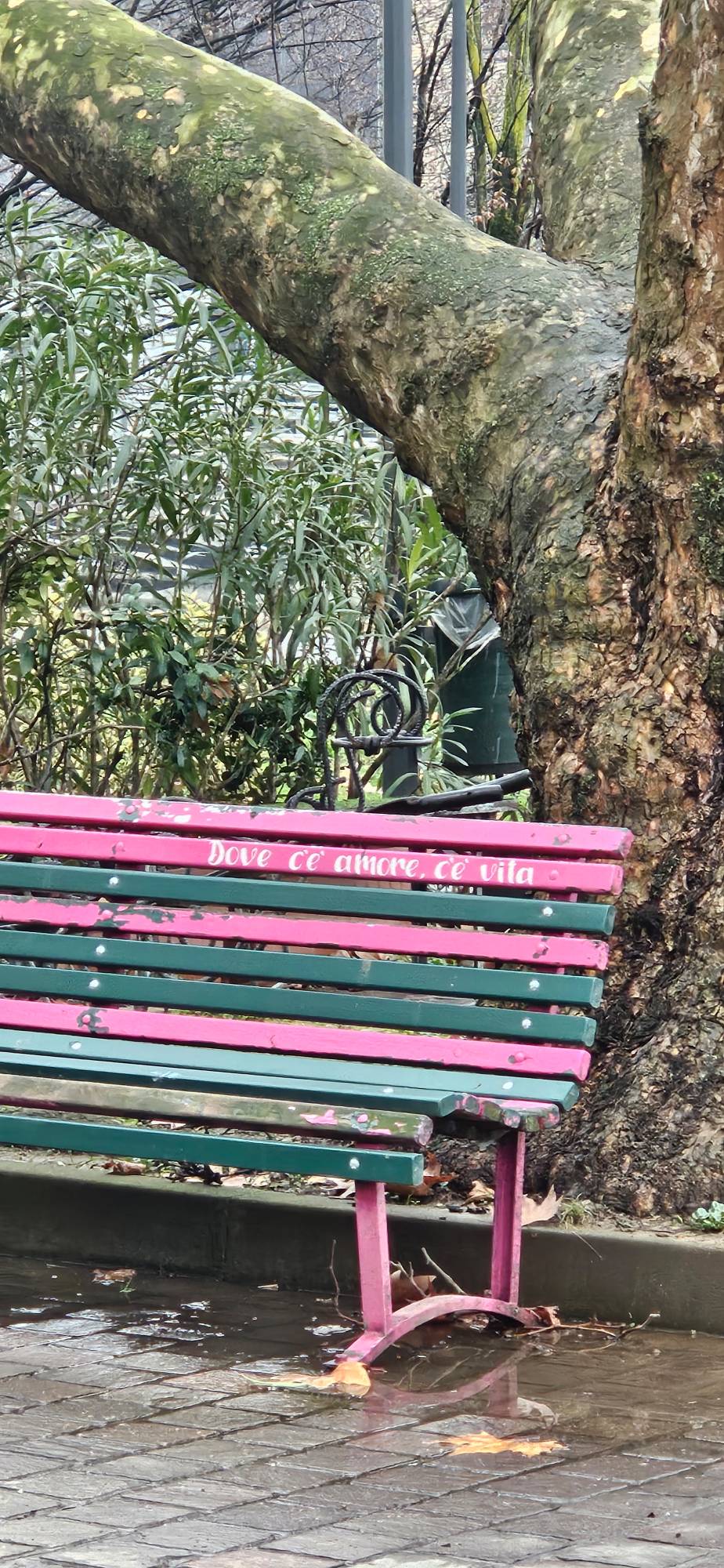 Foto de perfil de Omar