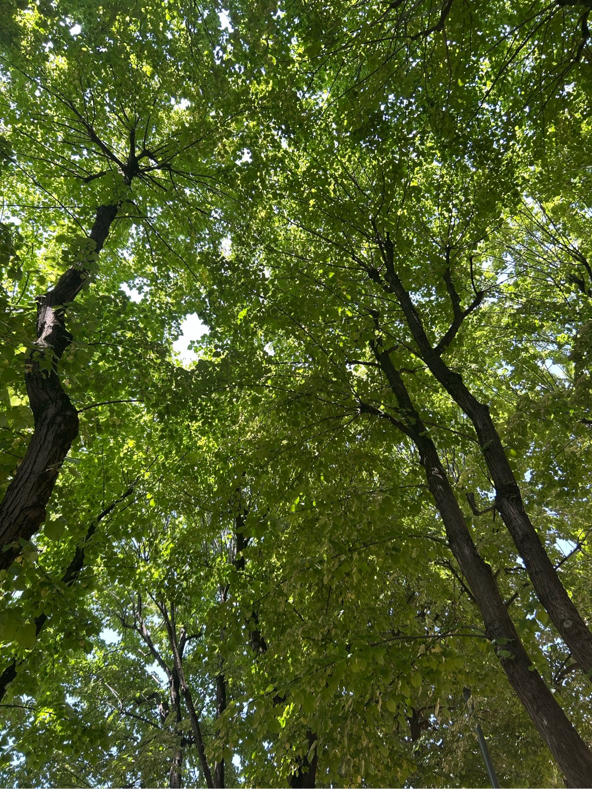 Foto de perfil de Roberta