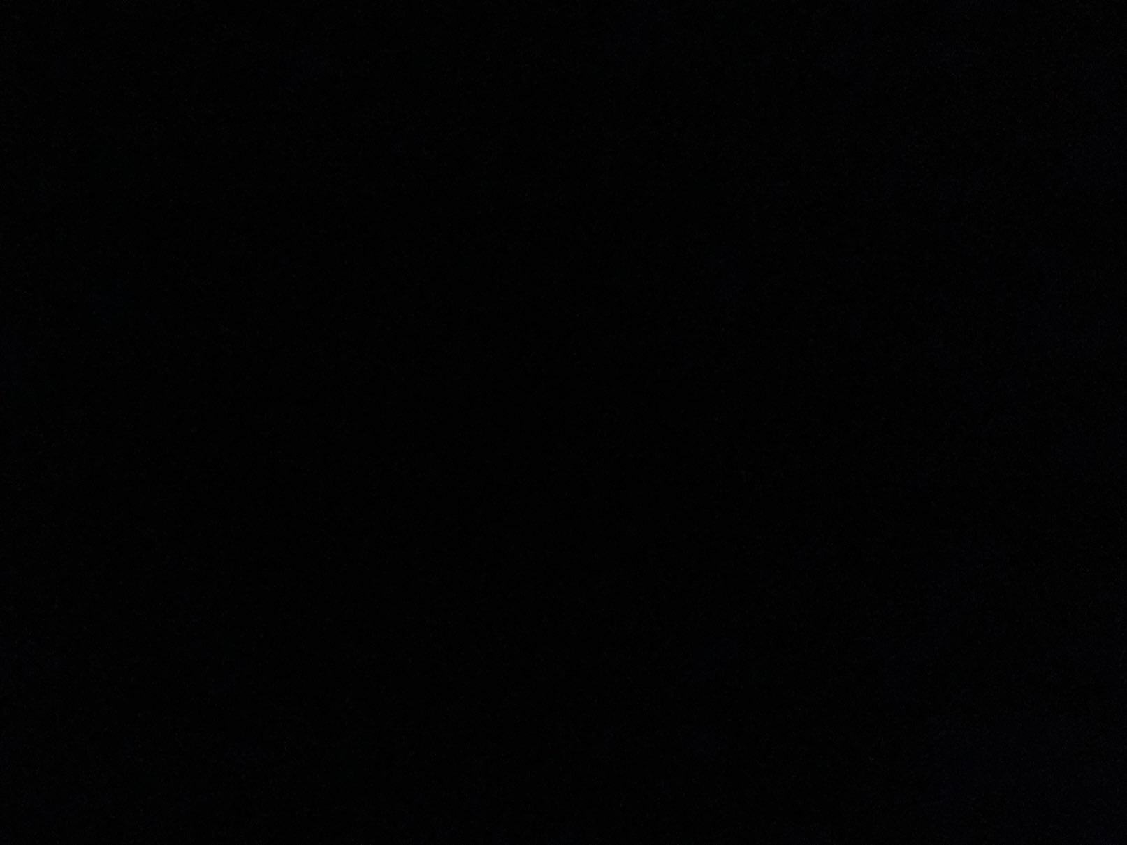 Foto de perfil de Ginevra