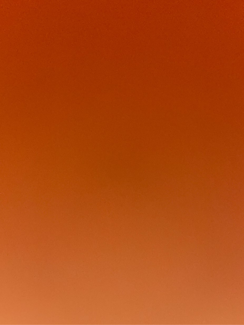 Profile photo of Marco