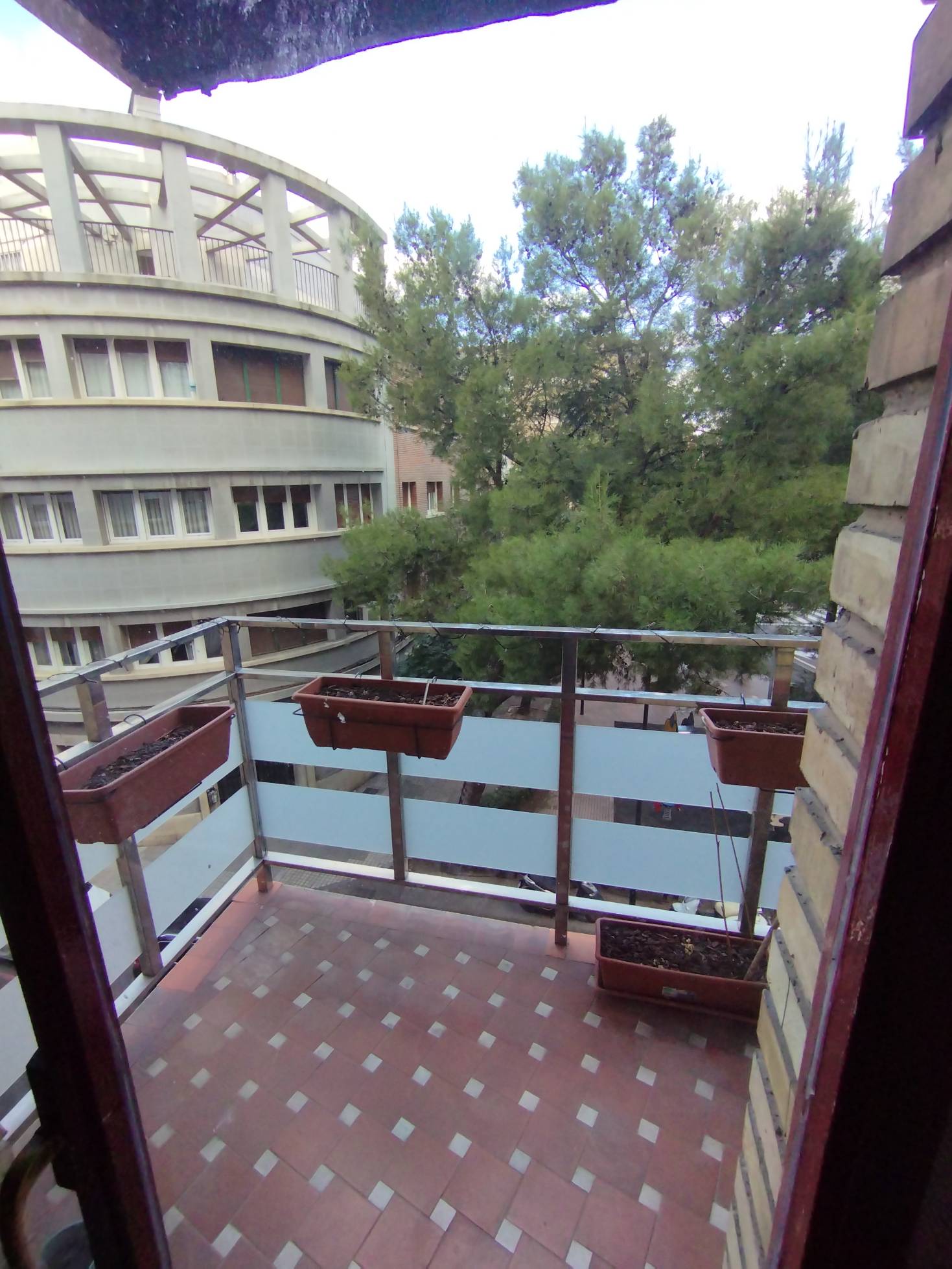 Photo de profil de Mari