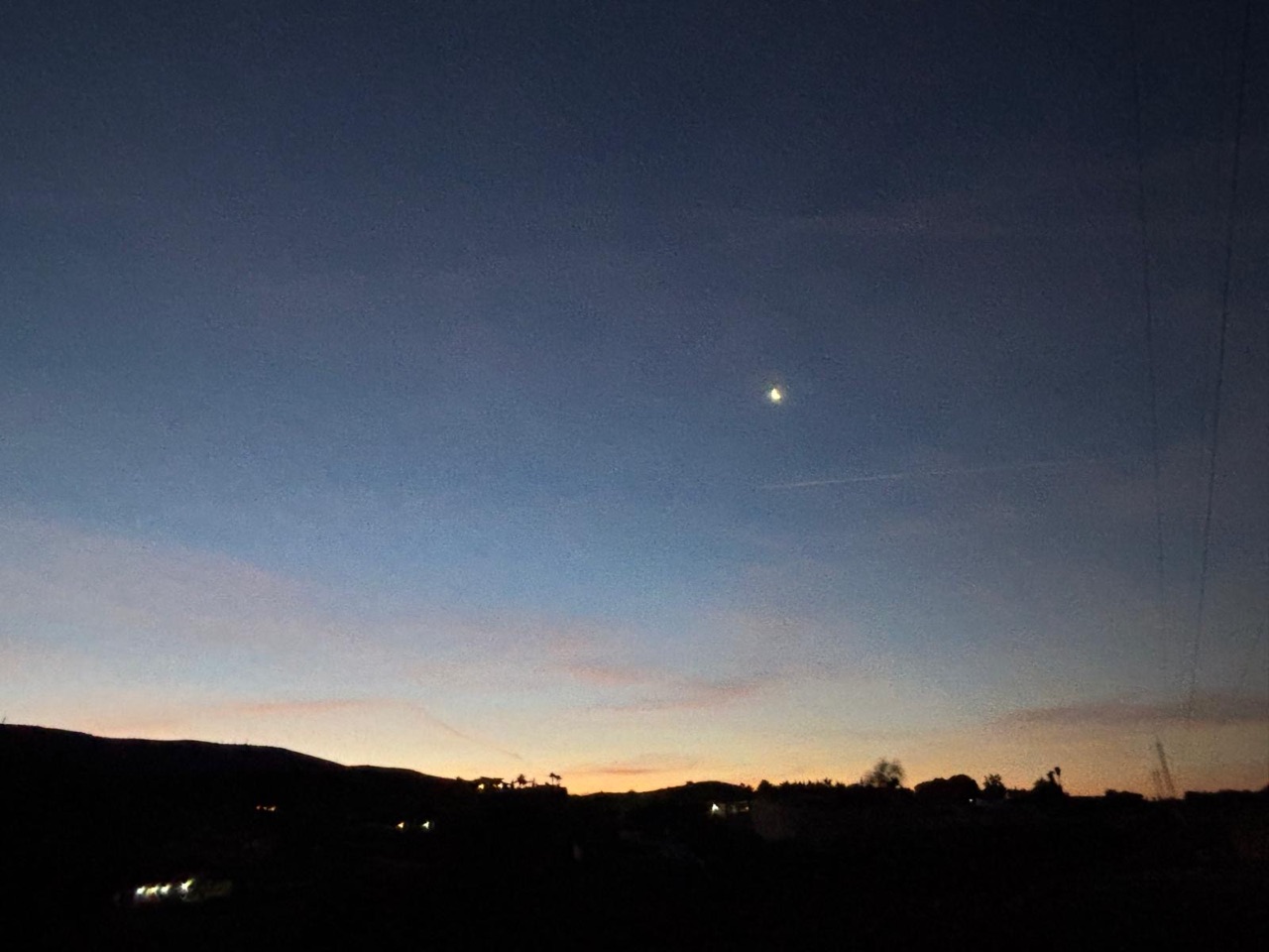 Foto profilo di Laia