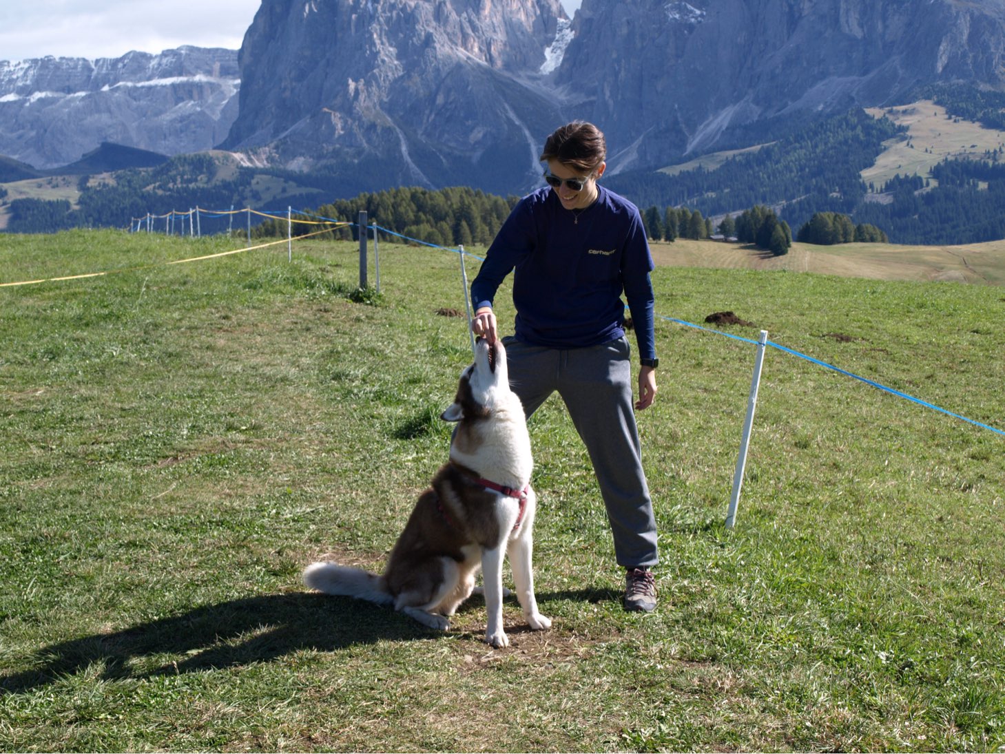Foto de perfil de Marti