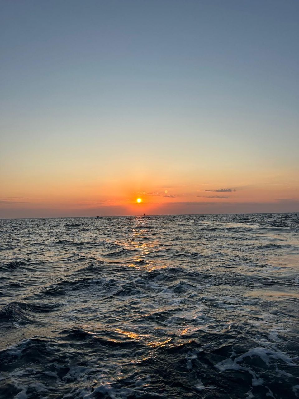 Photo de profil de Francesca