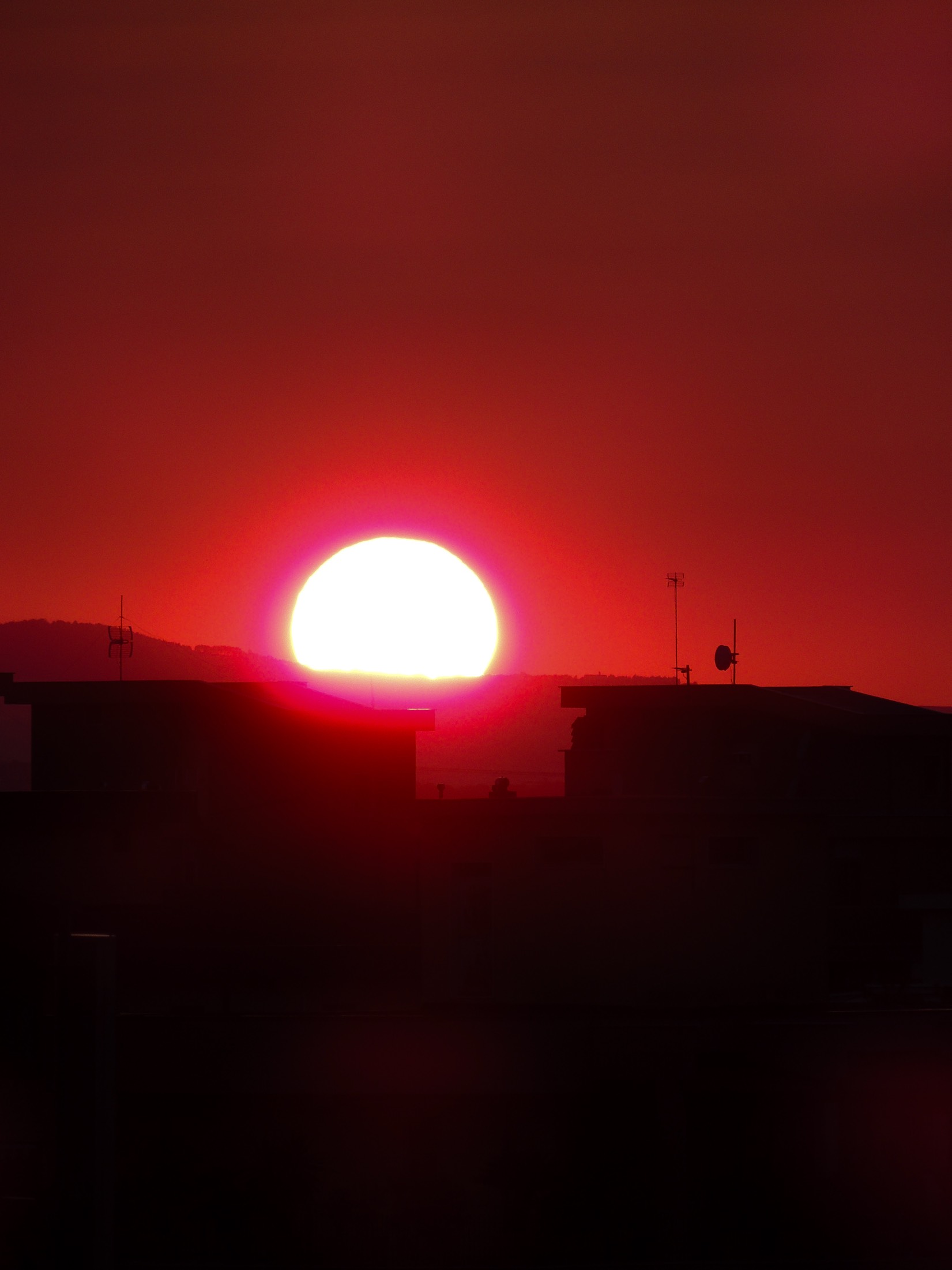 Profile photo of Marta