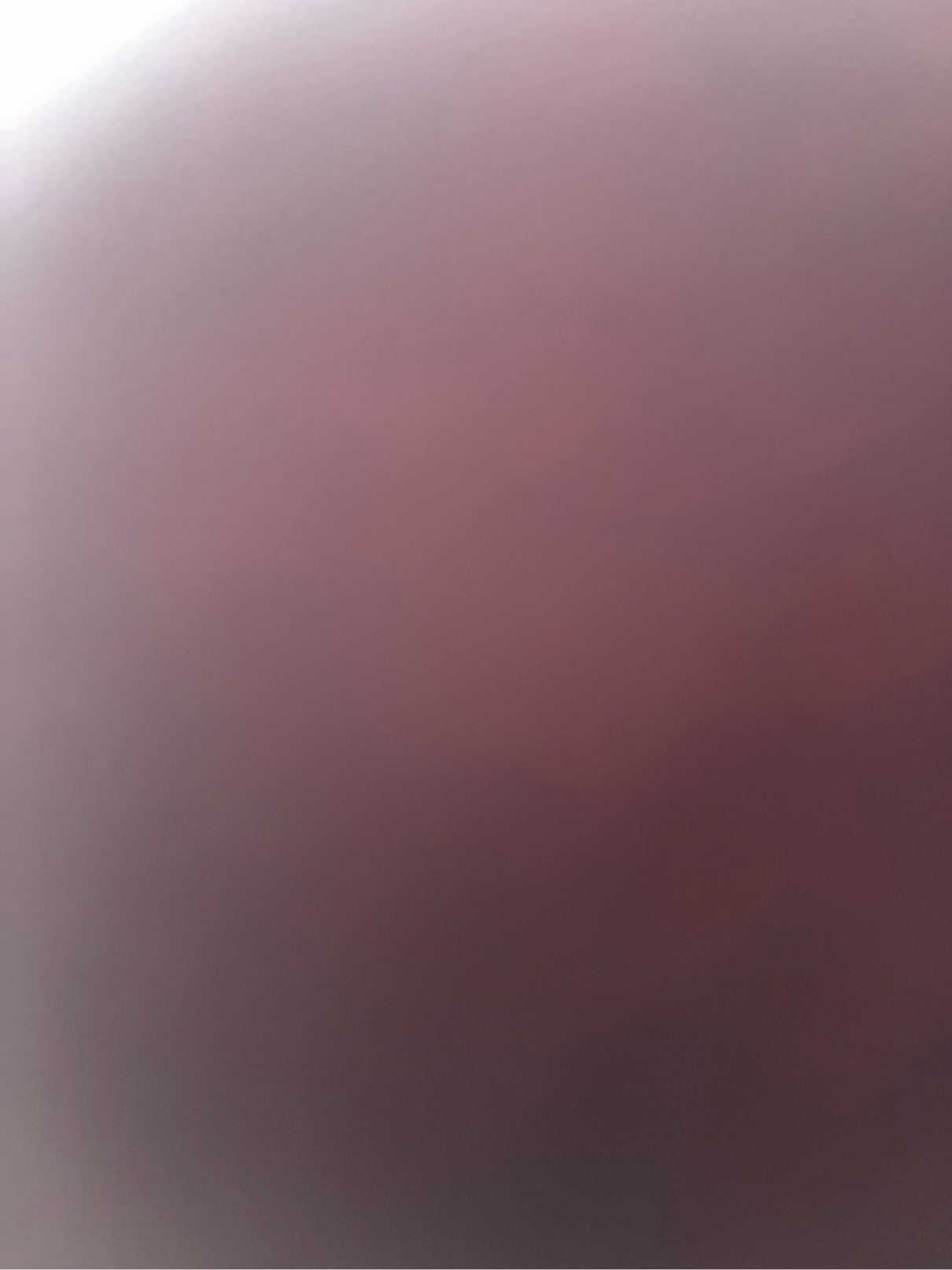 Profile photo of Sofia