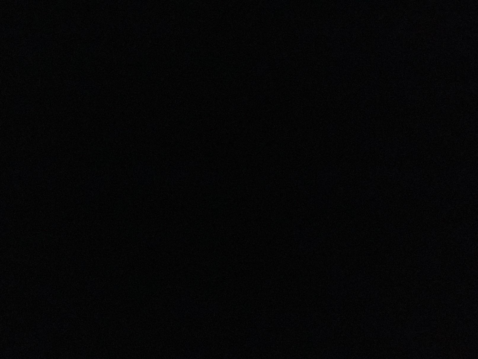 Photo de profil de Kimia