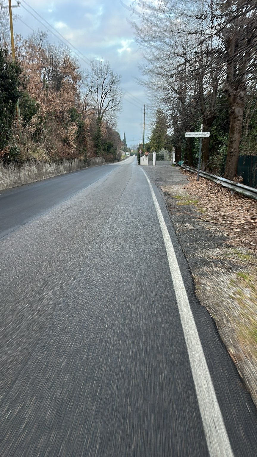 Profile photo of Sara