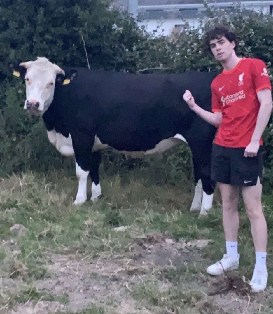 Foto profilo di Bryan