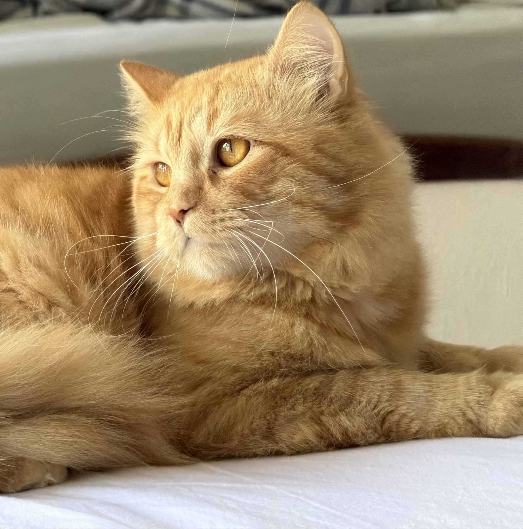 Profile photo of Karina