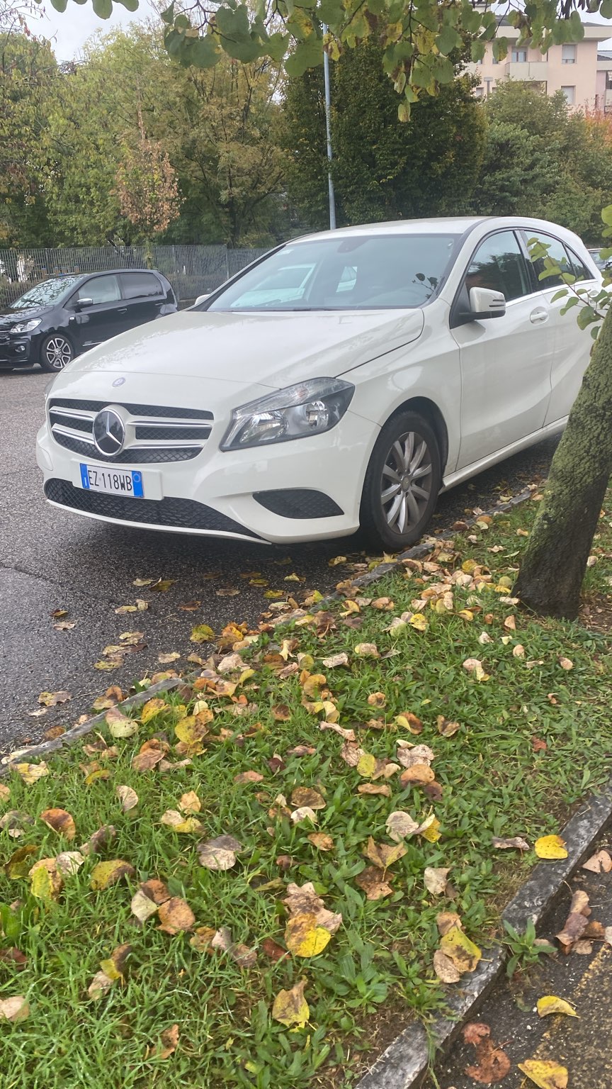 Foto de perfil de Maria