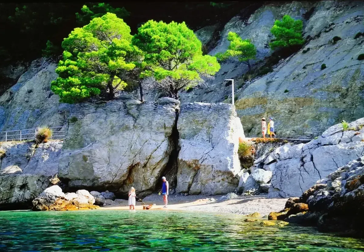Beach Prociok photo 1