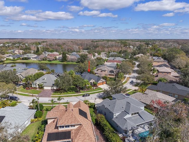 Drone Photos1