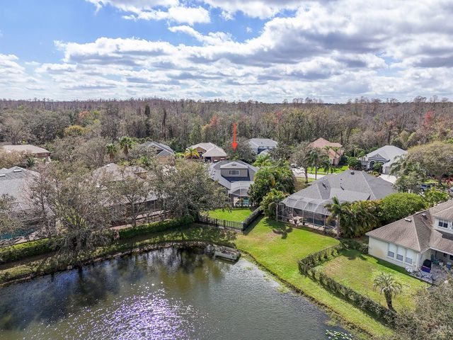 Drone Photos6