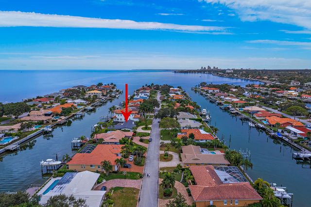 Drone Photos 1974 Hawaii Ave NE, St. Petersburg, FL 33703, USA-3