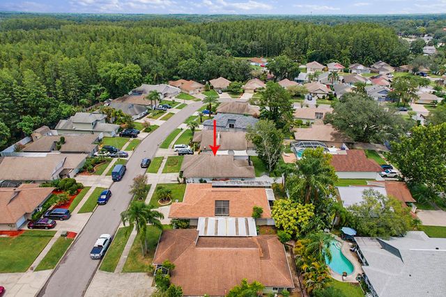 Drone 5942 Birchwood Dr, Tampa, FL 33625-1