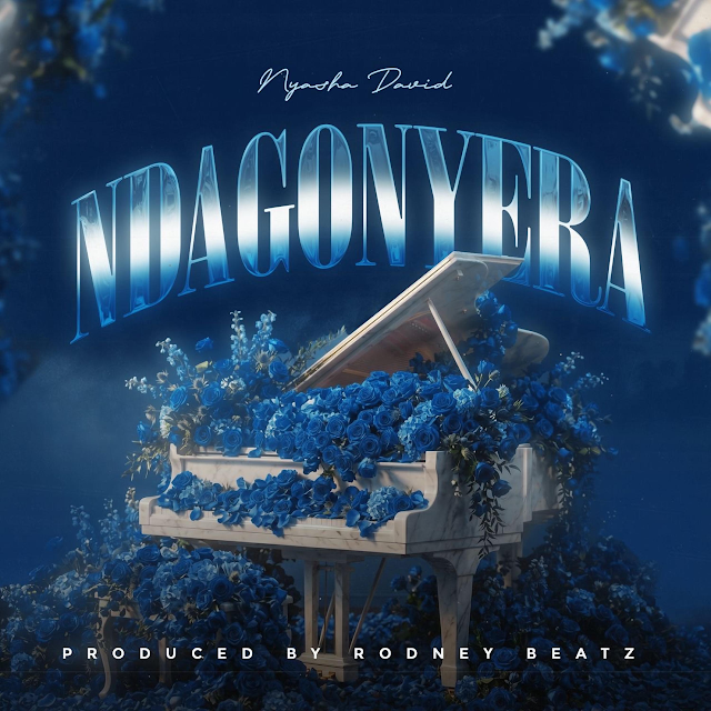 Ndagonyera by Nyasha David
