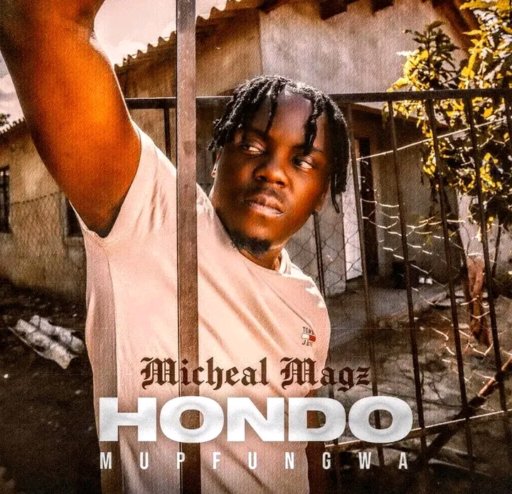 Hondo Mupfungwa