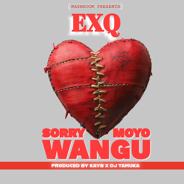 SORRY MOYO WANGU by ExQ