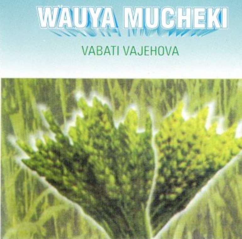 Mucheki