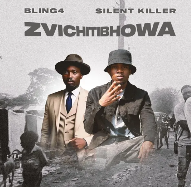 Zvichitibhohwa