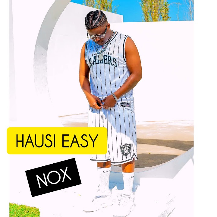 Hausi Easy