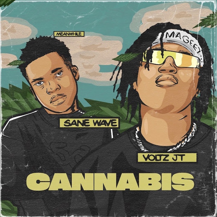 Cannabis