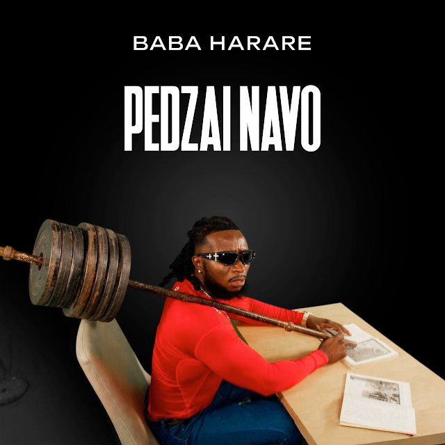 Pedzai Navo by Baba Harare