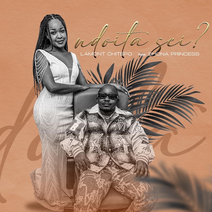Ndoita Sei? by Lamont Chitepo