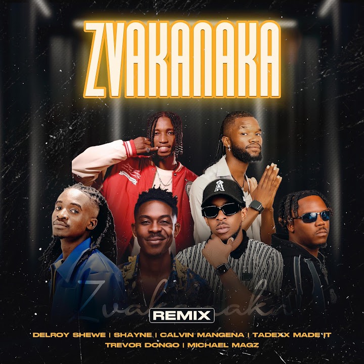 Zvakanaka (Remix) by Shayne