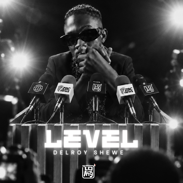 LEVEL by Delroy Shewe