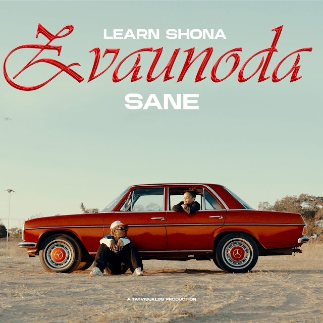 Zvaunoda (feat. Sane Wav) by Learn Zimbabwe