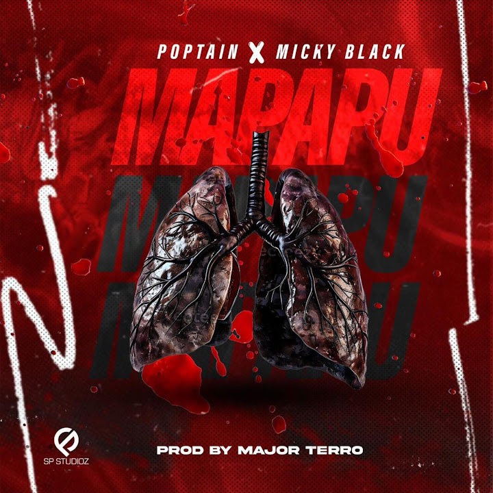 Mapapu
