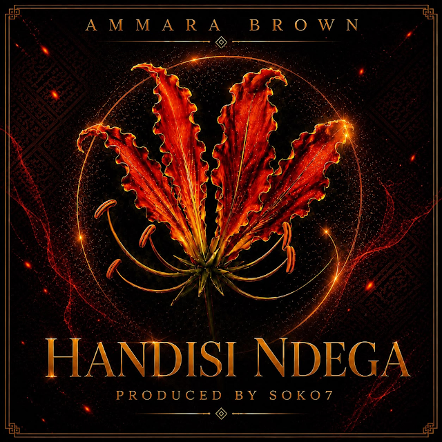 Handisi Ndega by Ammara Brown