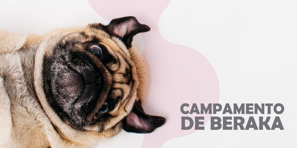 campamento-de-beraka