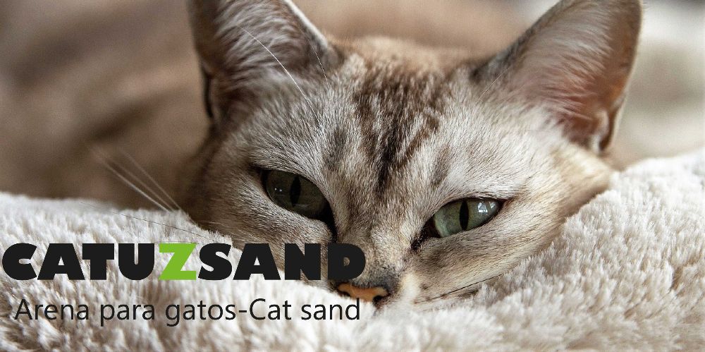 catuzsand-arena-para-gatos