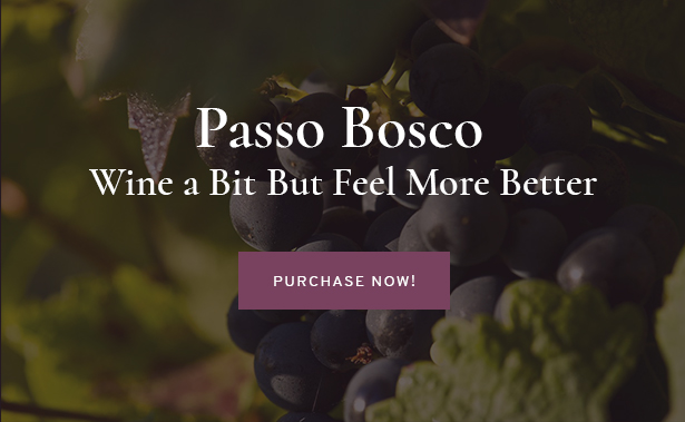 Launch Your Website with Passo Bosco now