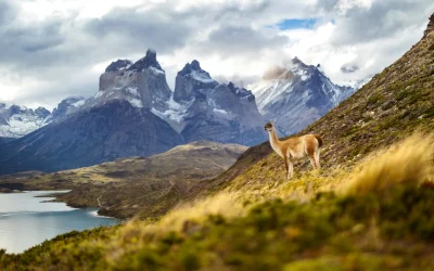 Parque Nacional Torres del Paine, Chile